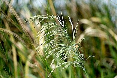 《塞尔达传说：御天神剑HD》“命运的浪漫”宣传片 