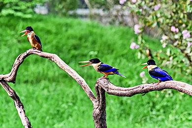 《最后的生还者：重制版》至少需要75GB硬盘空间